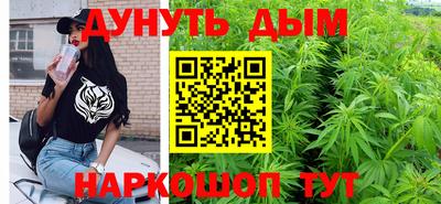 гидропоника Тверь