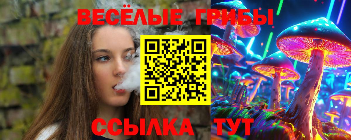 Галлюциногенные грибы Psilocybine cubensis  Галлюциногенные грибы GOLDEN TEACHER  Мурино  продажа наркотиков  Вход с VPN 